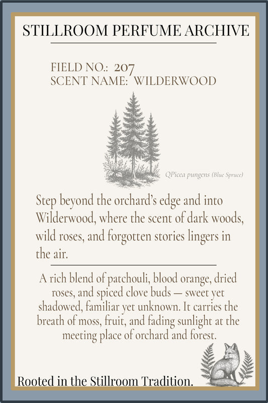 Wilderwood floral infused perfume oil, wild beyond the orchard's edge