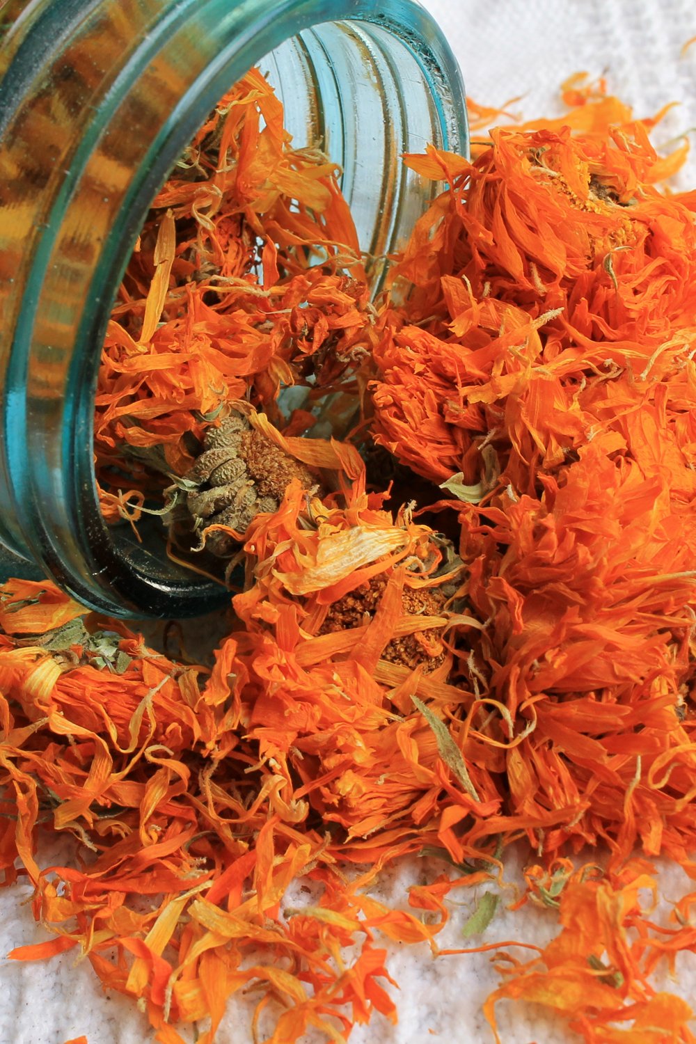 Close-up of dried Organic Calendula petals in a vintage ball mason jar, highlighting the rich color and texture, ideal for making herbal tea or natural beauty treatments.
