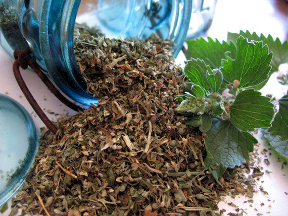 Catnip-Organic Fresh Dried - Lizzy Lane Farm Apothecary