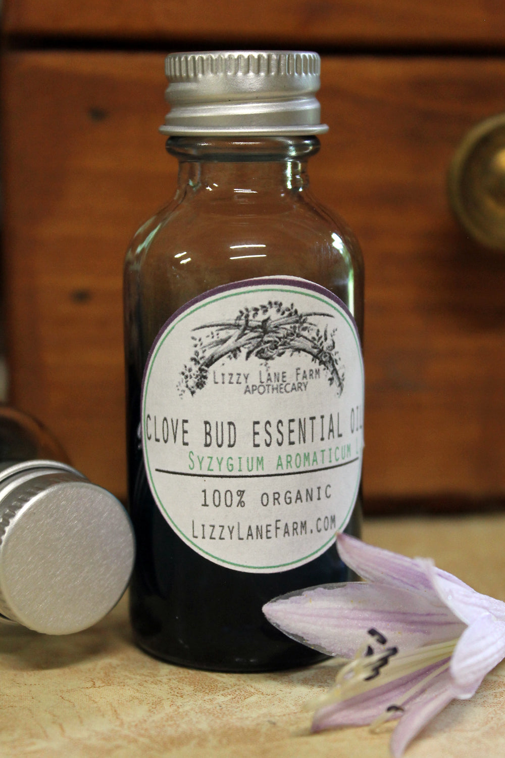 clove bud essential oil in 1 oz dropper bottles
