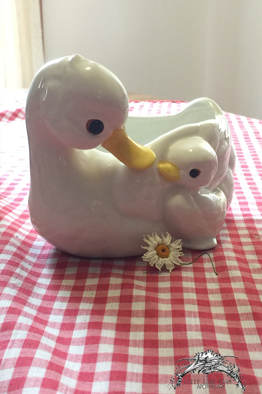Vintage Napco Ware Duck Planter - Lizzy Lane Farm Apothecary