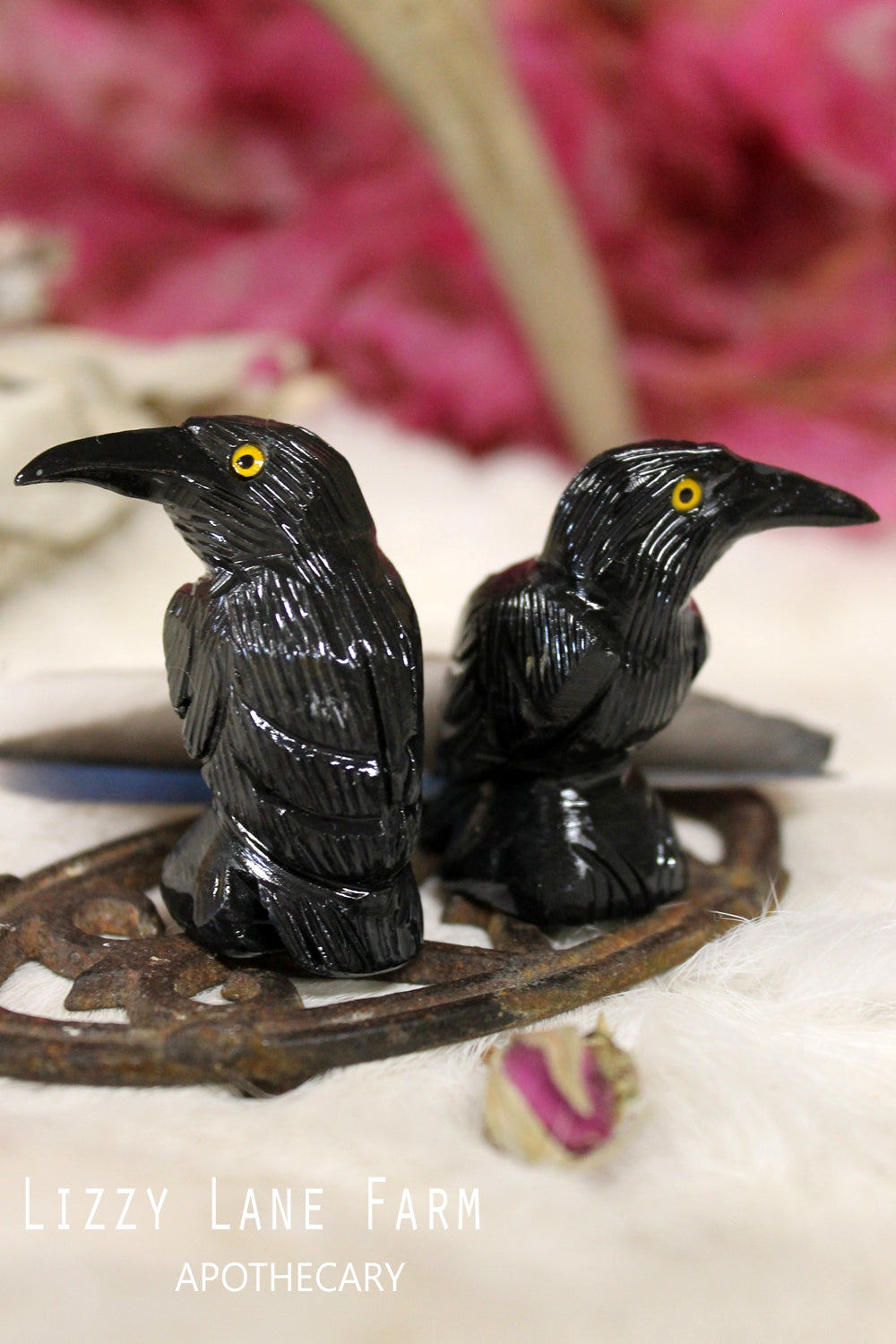 Black Onyx Crow Spirit Animal | Stone Crow or Raven