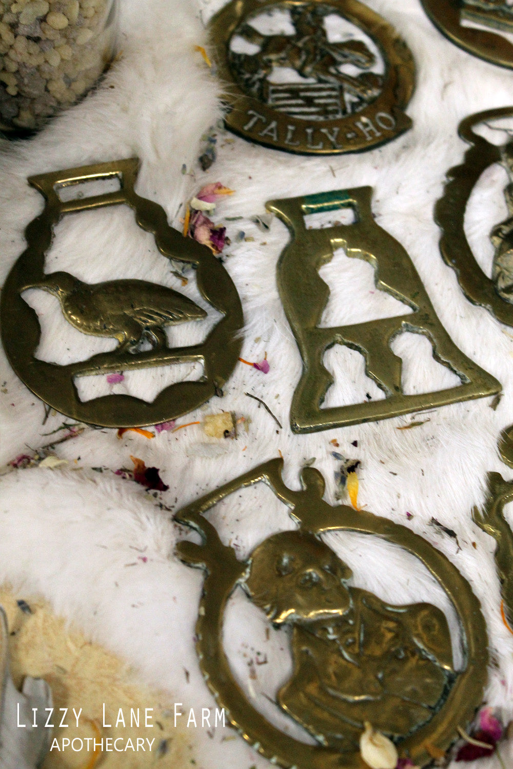 Vintage & Antique Horse Harness Brass Medallions. -  Canada