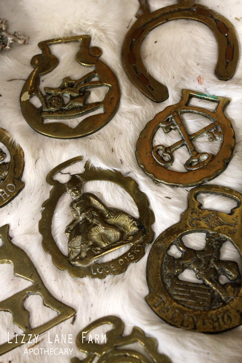 The Witchery - Horse Harness Brass // Vintage Horse Harness Brass, used to  decorate draft horses in England. Some people claimed they were also  amulets to ward off evil spirits. In medieval