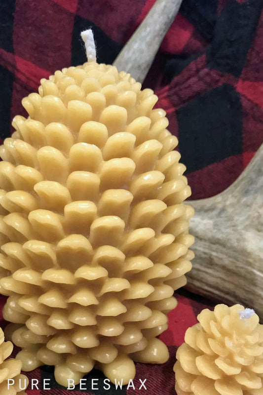 Beeswax Large Pine Cone Candle-pure beeswax - Lizzy Lane Farm Apothecary