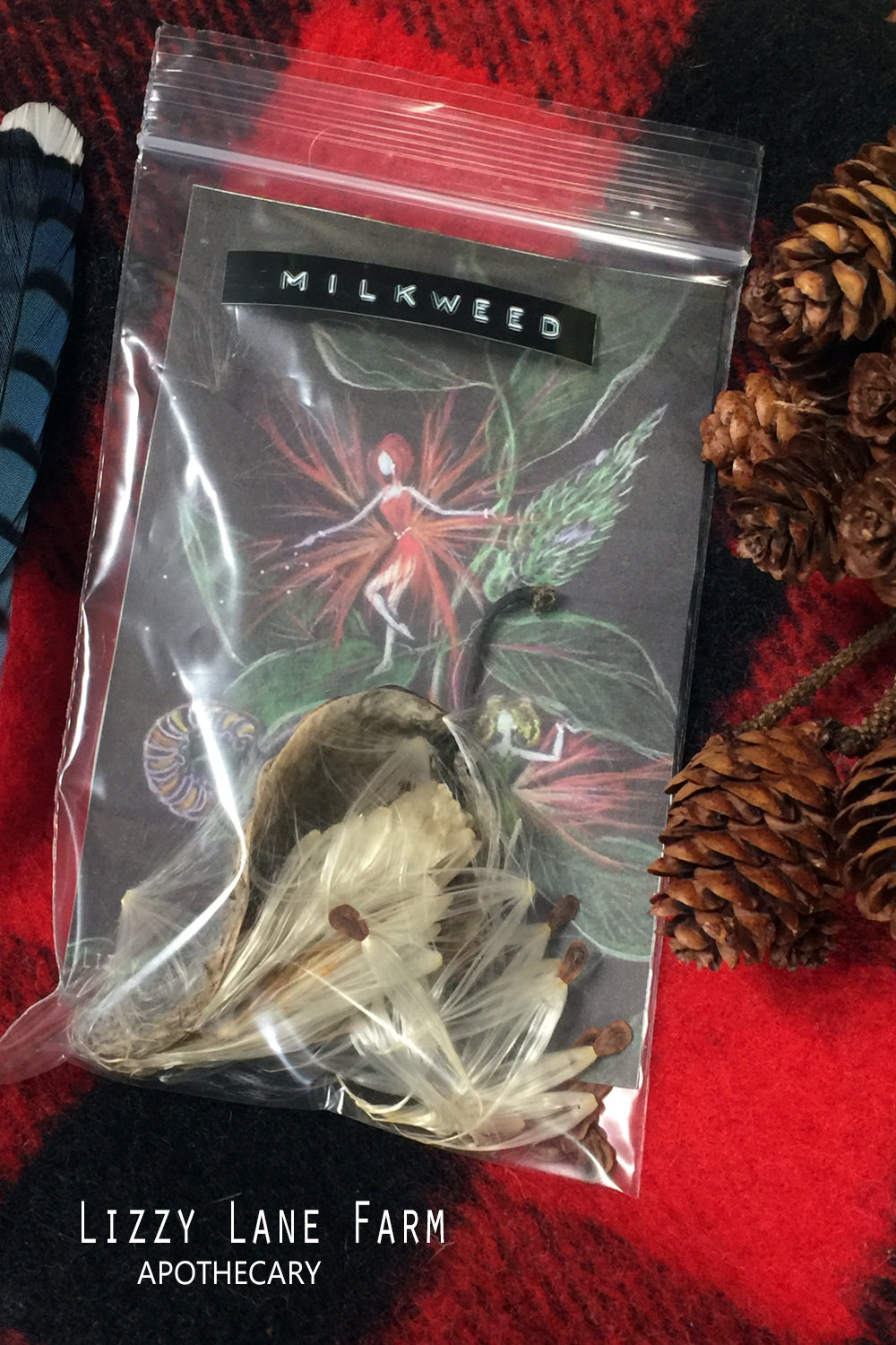 milkweed pod, fairy magick work, fall equinox,