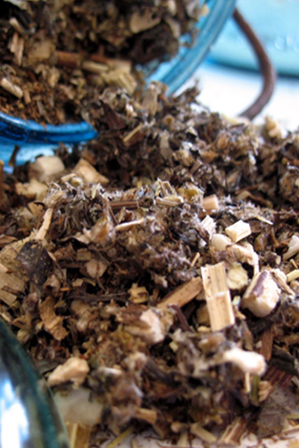 Mugwort-Organic Fresh Dried-(Artemisia vulgaris) - Lizzy Lane Farm Apothecary