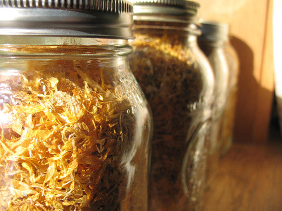 A vintage glass jar filled with fresh, vibrant orange and yellow Calendula flower heads, showcasing the natural beauty and healing potential of this versatile herb, perfect for skin care, teas, and natural remedies.