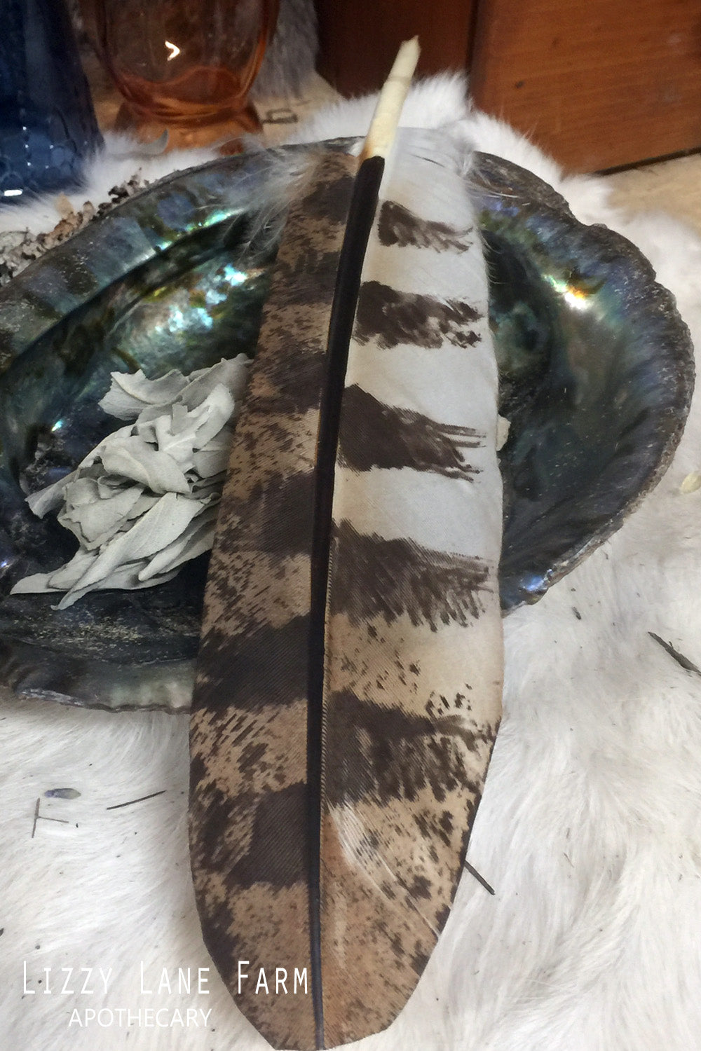 Painted Feather for Smudging | Owl Smudging Feather