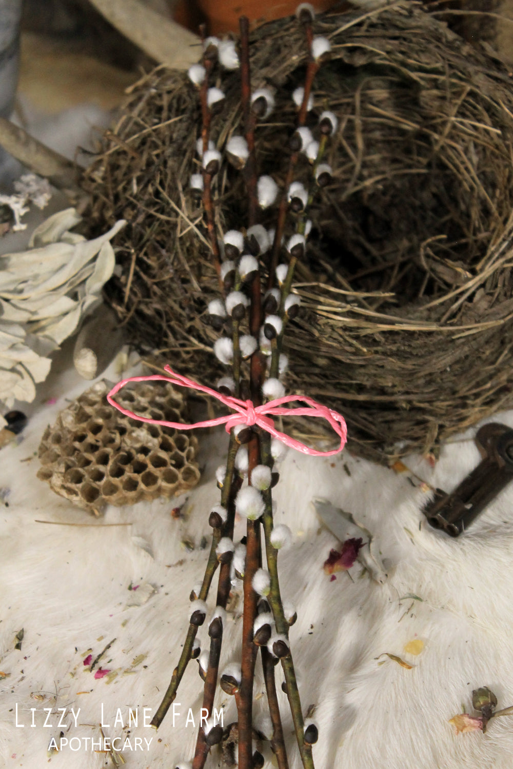 pussy willow branch bundle