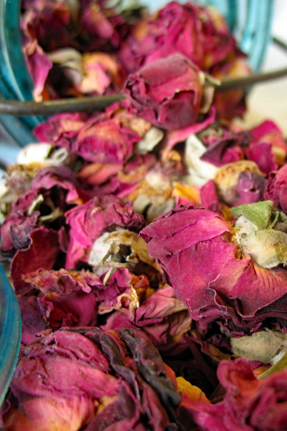 Red Rose Buds & Petals: tumbling from a vintage blue Ball mason jar. 
