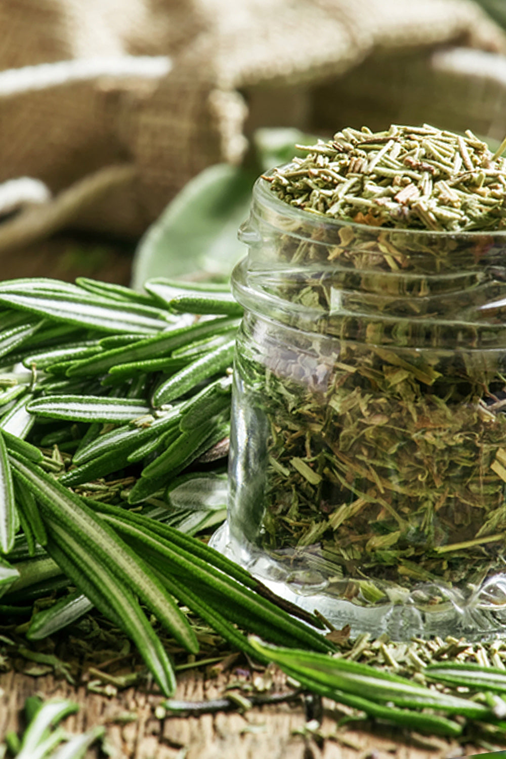 Organic Rosemary- Loose Rosemary Dried Herb (Rosmarinus officinalis) - Lizzy Lane Farm Apothecary