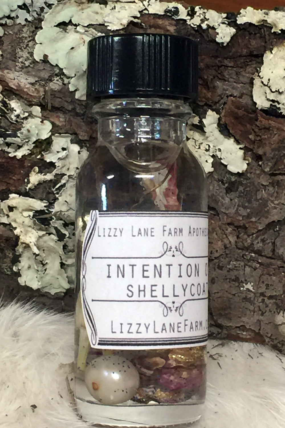 shellycoat intention oil- lizzy lane farm apothecary
