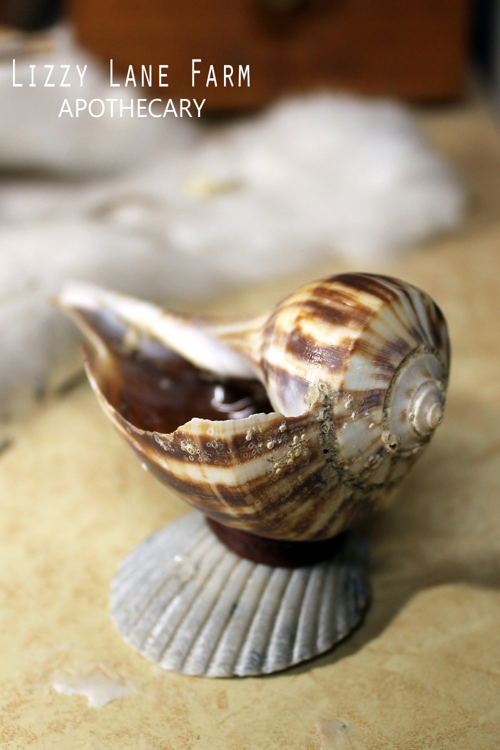 Mini Smudge Shell