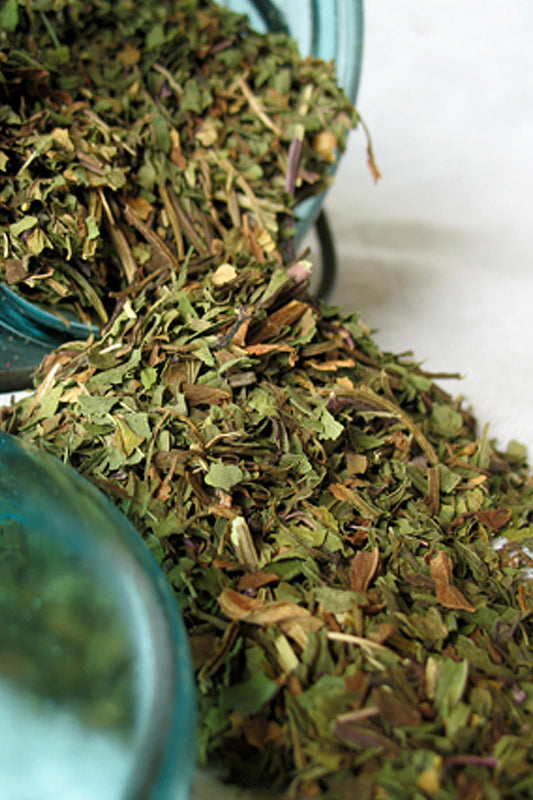 Organic Wintergreen Leaf- Loose Wintergreen Dried Herb (Gaultheria procumbens) - Lizzy Lane Farm Apothecary