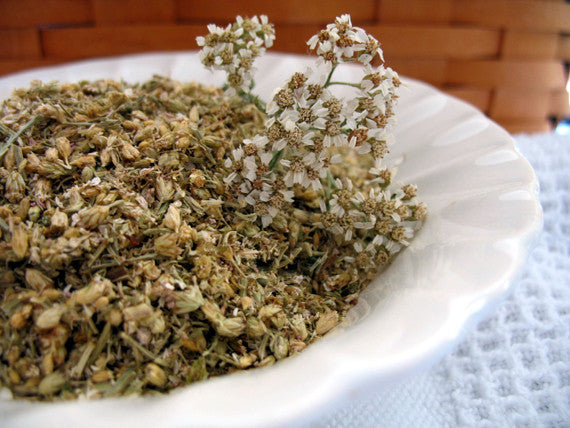 Yarrow- fresh dried - Lizzy Lane Farm Apothecary